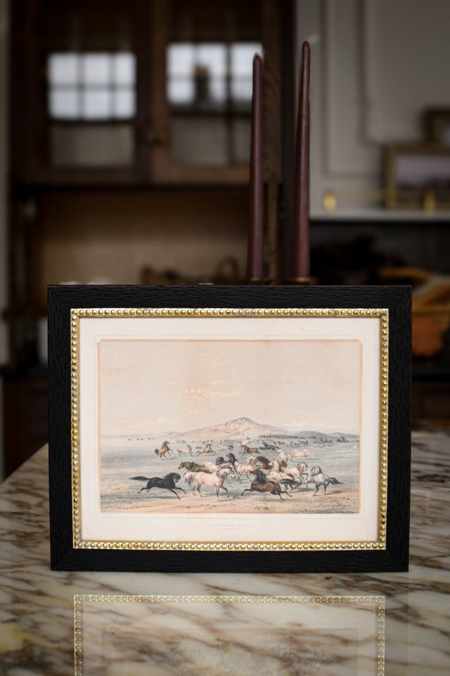 アンティーク　水彩画 いろどりちゃん の水彩画原画額入り